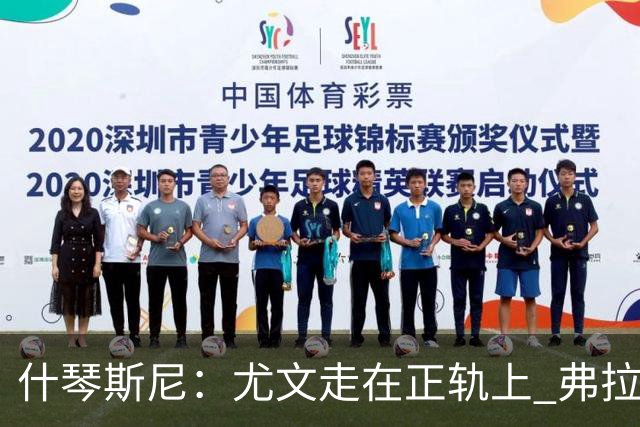 什琴斯尼：尤文走在正轨上 弗拉霍维奇非常出色