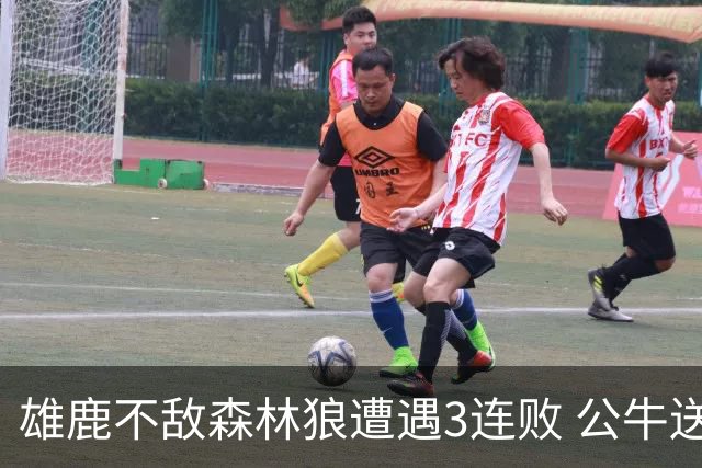 雄鹿不敌森林狼遭遇3连败 公牛送灰熊7连败